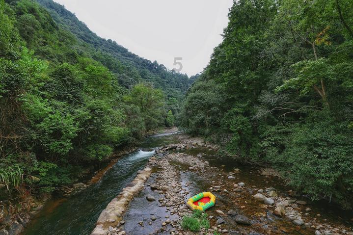 农畜山羊逃脱